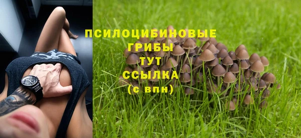 марки lsd Балабаново