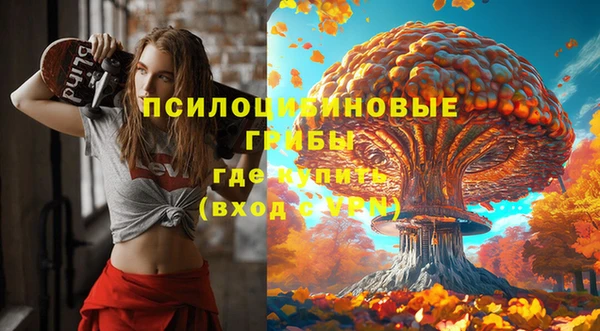 марки lsd Балабаново