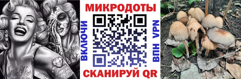 Псилоцибиновые грибы мицелий  как найти   Лагань 